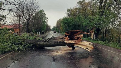 Синоптики попереджають про сильний вітер 26 квітня
