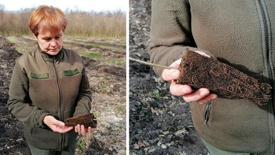На Кіровоградщині навесні створять 87 гектарів нового лісу На Кіровоградщині навесні створять 87 гектарів нового лісу
