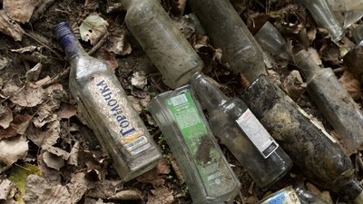 У Чернівцях волонтери прибрали велопішохідний маршрут на вулиці Прутській У Чернівцях волонтери прибрали велопішохідний маршрут на вулиці Прутській