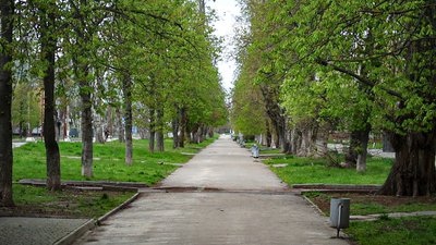 Херсон, погода, природа, весна, дерева, вулиця, місто