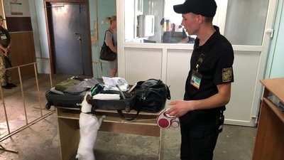 Ховав у валізі: вінницькі прикордонники виявили в іноземця наркотики