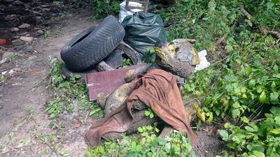 "Прибираємо, тому що це наша земля". Харків'яни взялися чистити засмічений Жихорець "Прибираємо, тому що це наша земля". Харків'яни взялися чистити засмічений Жихорець