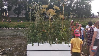 26 команд взяли участь в "Ужгородській регаті-2021" 26 команд взяли участь в "Ужгородській регаті-2021"