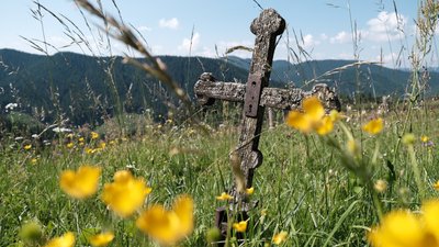 Село оживає раз на рік. Чому люди повертаються до села на Буковині щороку Село оживає раз на рік. Чому люди повертаються до села на Буковині щороку