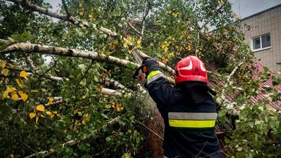 Поблизу приватного будинку рятувальники обрізають гілля дерев, яке зламалось внаслідок сильного вітру, 28 жовтня 2023, Хмельниччина Поблизу приватного будинку рятувальники обрізають гілля дерев, яке зламалось внаслідок сильного вітру, 28 жовтня 2023, Хмельниччина