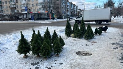 Новий рік, Різдво, свято, ялинка, ціна, Житомир, Коростишів Новий рік, Різдво, свято, ялинка, ціна, Житомир, Коростишів