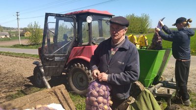 Як вишні цвітуть – треба садити: на Волині триває посівна ранніх культур Як вишні цвітуть – треба садити: на Волині триває посівна ранніх культур