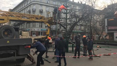 У Франківську почали встановлювати новорічну ялинку У Франківську почали встановлювати новорічну ялинку
