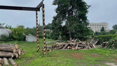 Збитків на один мільйон: на Луганщині виявили факт незаконної порубки лісу під час масштабних пожеж