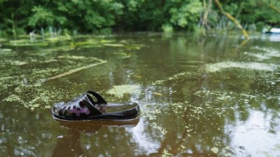 Екологія водойм на Черкащині: Золотоношка — річка із "золотим" дном Екологія водойм на Черкащині: Золотоношка — річка із "золотим" дном