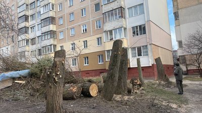 У Тернополі зрізали 12 дерев: що кажуть мешканці будинків