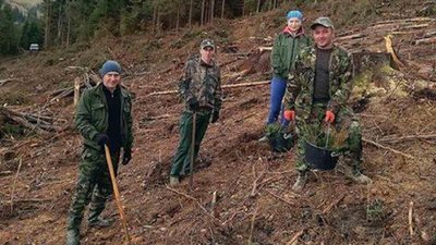 У Вигодському лісгоспі на Прикарпатті висадили три гектари лісу