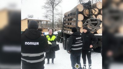 Поліція Чернігівщини підозрює групу людей у вирубці дерев на 10 мільйонів гривень
