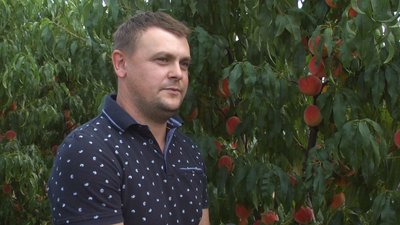 Заради садівництва залишився на рідній землі, - фермер Олександр Свідерський