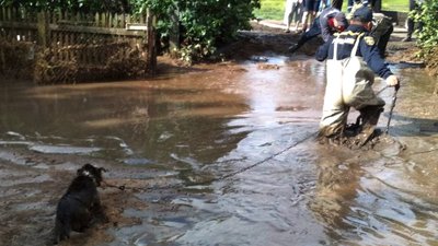 Підтоплені домівки, повалені дерева та травмовані люди: про наслідки негоди на Одещині Підтоплені домівки, повалені дерева та травмовані люди: про наслідки негоди на Одещині