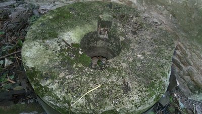 На Рівненщині є унікальний кам'яний вітряк, що досі не має статусу пам'ятки На Рівненщині є унікальний кам'яний вітряк, що досі не має статусу пам'ятки