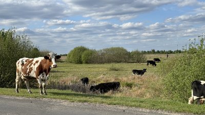 Великі каструлі борщу і пральна машинка, що не відпочиває: як живе багатодітне село Бірки на Волині Великі каструлі борщу і пральна машинка, що не відпочиває: як живе багатодітне село Бірки на Волині