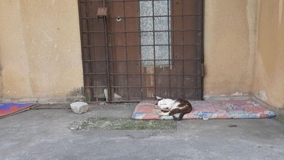 У місті Долинська пустують 11 дев'ятиповерхівок У місті Долинська пустують 11 дев'ятиповерхівок