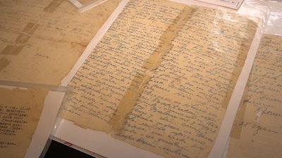 Таємне весілля, дитина з криївки та заповіт. Як чотири покоління підпільників УПА Cулими та Калини воюють за Україну Таємне весілля, дитина з криївки та заповіт. Як чотири покоління підпільників УПА Cулими та Калини воюють за Україну