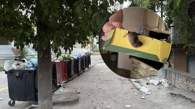 сміттєві баки