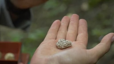 Курганний некрополь, сумська свита і Будинок-музей А. Чехова: що подивитися на околицях Сум Курганний некрополь, сумська свита і Будинок-музей А. Чехова: що подивитися на околицях Сум