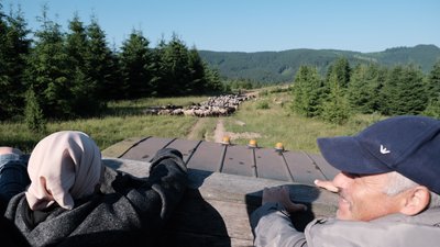 Село оживає раз на рік. Чому люди повертаються до села на Буковині щороку Село оживає раз на рік. Чому люди повертаються до села на Буковині щороку