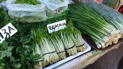 Зривати, продавати та купувати заборонено. У Кропивницькому екологи перевіряли чи продають червонокнижні рослини Зривати, продавати та купувати заборонено. У Кропивницькому екологи перевіряли чи продають червонокнижні рослини