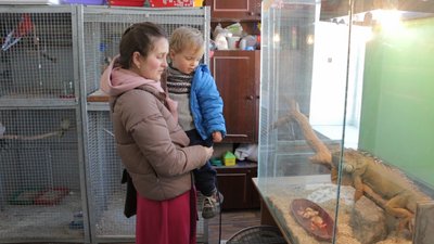 Юні натуралісти у Вінниці проводять безкоштовні екскурсії для дітей-переселенців