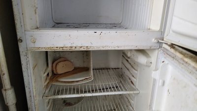 У Житомирі бездоглядну 90-річну бабусю не можуть взяти під опіку соцслужб, бо сім'я не дає дозволу У Житомирі бездоглядну 90-річну бабусю не можуть взяти під опіку соцслужб, бо сім'я не дає дозволу
