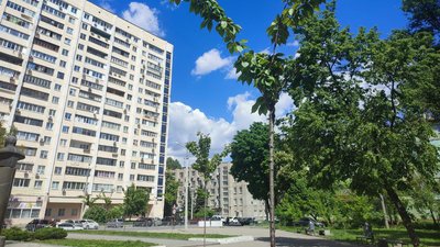 Який вигляд має висаджена торік алея сакур у Дніпрі: фото Який вигляд має висаджена торік алея сакур у Дніпрі: фото