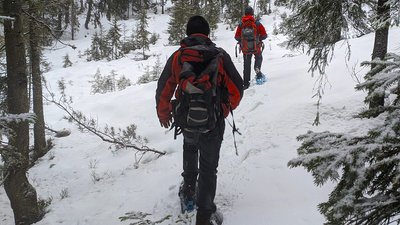 В горах Закарпаття за добу заблукали двоє туристів В горах Закарпаття за добу заблукали двоє туристів