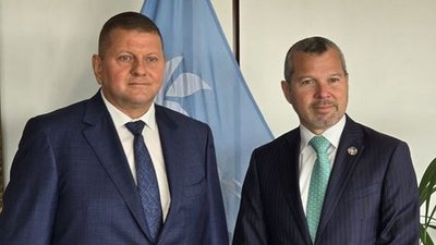 Залужний, Арсеніо Домінгес