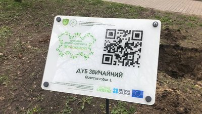 В Житомирі на місці 300-літнього дуба посадили дерево В Житомирі на місці 300-літнього дуба посадили дерево