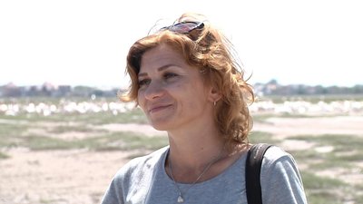 На Одещині оселилися понад 1500 пеліканів На Одещині оселилися понад 1500 пеліканів