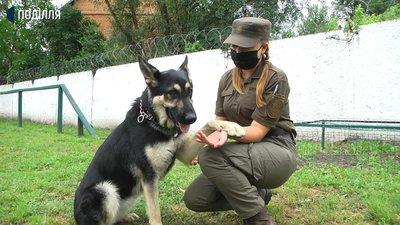 Стала першою військовою-кінологом на заході України. Катерина Мартинчук. СУСПІЛЬНЕ | ЛЮДИ