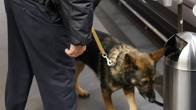 Вночі у Львові повідомили про замінування 9 ТЦ: вибухівки не знайшли Вночі у Львові повідомили про замінування 9 ТЦ: вибухівки не знайшли