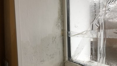 "Пліснявіють стіни": у гуртожитку УТОС у Полтаві без електрики немає опалення
