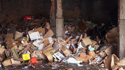 Хотіли заробити більше. На сортувальні у Вінниці підклали кошенят до макулатури