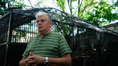 В Одеському зоопарку з'явились бабуїни В Одеському зоопарку з'явились бабуїни