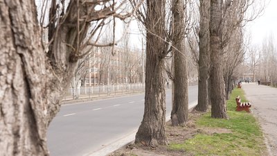 "Панікувати немає сенсу". У Миколаєві підвищений рівень формальдегіду в повітрі: що відомо "Панікувати немає сенсу". У Миколаєві підвищений рівень формальдегіду в повітрі: що відомо