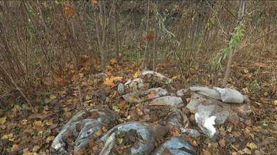 Сумчани пів року просять прибрати звалище нечистот на Набережній р. Стрілки