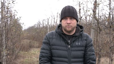 Коробочкине яблуневий сад Коробочкине яблуневий сад