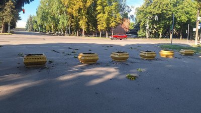 квіти, клумби