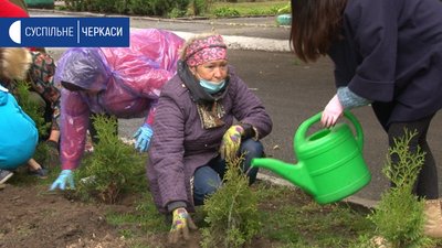 "Дерева ростимуть разом з учнями": 22 туї висадили біля Геронимівської школи "Дерева ростимуть разом з учнями": 22 туї висадили біля Геронимівської школи