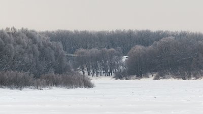 Погода у січні 2026 року на Чернігівщині