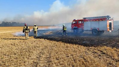 За добу на Дніпропетровщині вигоріли 110 гектарів екосистеми: яке покарання за спалювання сухостою