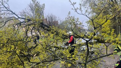 Буревій у Кропивницькому: дерева падають на дороги, тротуари та будинки Буревій у Кропивницькому: дерева падають на дороги, тротуари та будинки