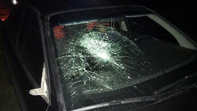 На Рівненщині у ДТП загинув пішохід. Поліція просить про допомогу На Рівненщині у ДТП загинув пішохід. Поліція просить про допомогу