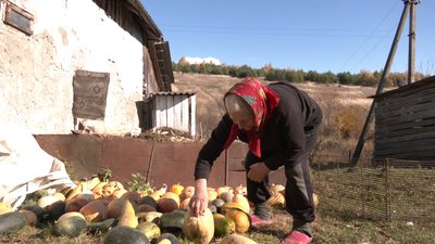 Село Корчунок на Франківщині: 15 років самотності