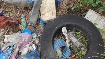 На території дачного кооперативу, що на Миколаївщині, утворилося стихійне сміттєзвалище На території дачного кооперативу, що на Миколаївщині, утворилося стихійне сміттєзвалище